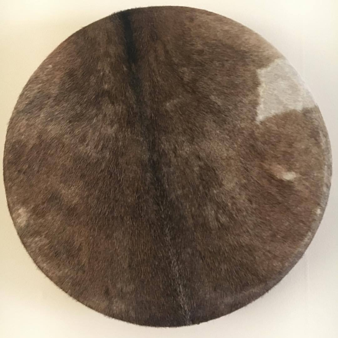 22135443_1790432154378774_8028121463392483346_o